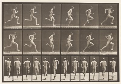 Placa 62. Corriendo a toda velocidad, 1872-1885 de Eadweard Muybridge