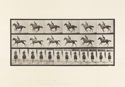 Placa 632. Galope; Silla; Caballo bayo de pura sangre Bouquet de Eadweard Muybridge