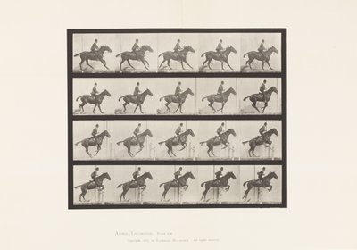 Placa 636. Saltando un obstáculo; Silla; Preparándose para el salto de Eadweard Muybridge