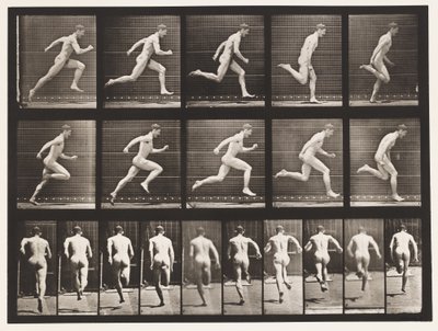Placa 63. Corriendo a toda velocidad de Eadweard Muybridge
