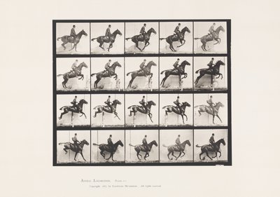Placa 640. Saltando una valla; Silla de montar; Caballo bayo Daisy de Eadweard Muybridge