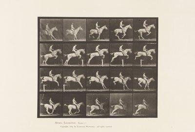Placa 642. Saltando una valla; Silla; Jinete, 105, Desnudo; Yegua gris, 1885 de Eadweard Muybridge
