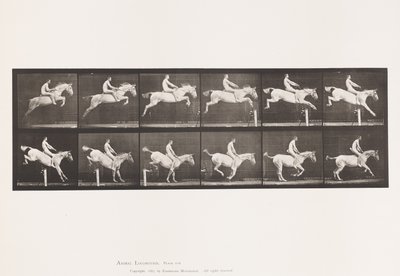 Placa 643. Saltando una valla; A pelo; Despejando y aterrizando de Eadweard Muybridge