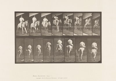 Placa 644. Saltando una Valla; Silla de Montar; Despeje y Aterrizaje de Eadweard Muybridge