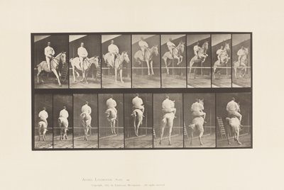 Placa 645. Saltando una valla; Silla; Despeje y aterrizaje de Eadweard Muybridge
