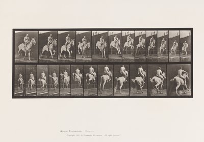 Plato 646. Saltando una valla; Silla de montar; Jinete, 105, Desnudo;, 1885 de Eadweard Muybridge