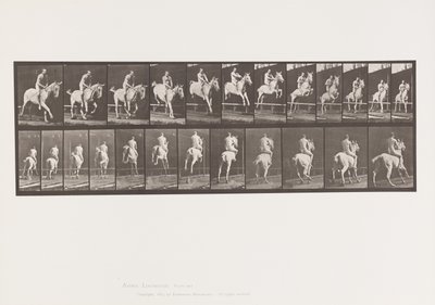 Placa 647. Saltando una Valla; Sin Silla; Jinete de Eadweard Muybridge