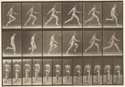Placa 64. Corriendo a toda velocidad de Eadweard Muybridge