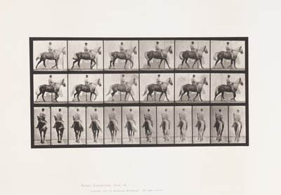 Placa 653. Caminando; Silla; Cojo, Pie delantero derecho; Caballo-Buckskin de Eadweard Muybridge