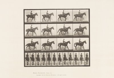 Placa 655. Caminando; Silla de Montar; Espolón, Pata Trasera Derecha; Caballo de Eadweard Muybridge