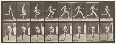 Placa 65. Corriendo a toda velocidad de Eadweard Muybridge