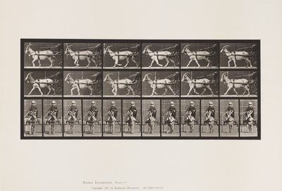 Placa 678. Cabra; Trotando, en Sulky de Eadweard Muybridge