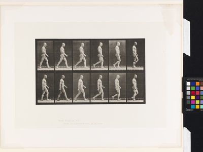 Placa 6. Caminando de Eadweard Muybridge