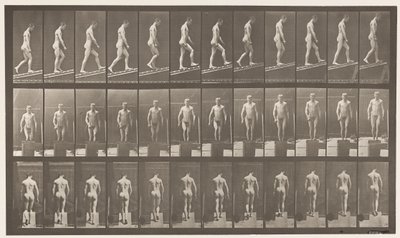 Placa 74. Ascendiendo pendiente, ángulo 1 en 4 de Eadweard Muybridge
