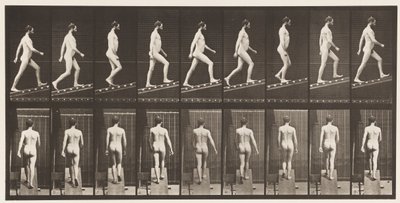 Placa 75. Subiendo una pendiente, ángulo 1 en 4 de Eadweard Muybridge