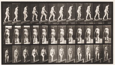 Placa 77. Subiendo una pendiente de Eadweard Muybridge