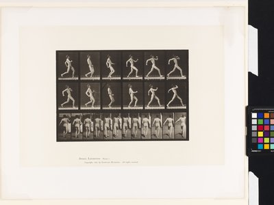 Placa 7. Caminando de Eadweard Muybridge