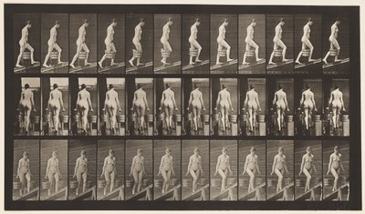 Placa 81. Ascendiendo pendiente de Eadweard Muybridge
