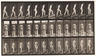 Placa 85. Subiendo una pendiente de Eadweard Muybridge