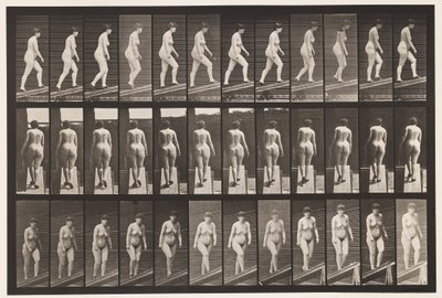 Placa 86. Subiendo inclinación de Eadweard Muybridge