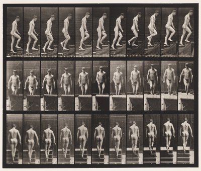 Placa 88. Subiendo escaleras de Eadweard Muybridge