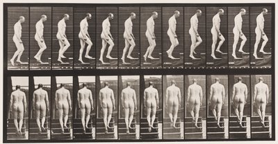 Placa 89. Subiendo escaleras de Eadweard Muybridge