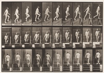 Placa 90. Subiendo escaleras de Eadweard Muybridge