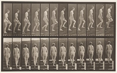 Placa 92. Subiendo Escaleras de Eadweard Muybridge
