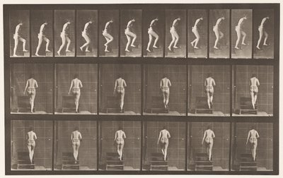Placa 93. Subiendo escaleras de Eadweard Muybridge