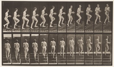 Placa 94. Subiendo Escaleras Mirando Alrededor; Cuenco en Manos de Eadweard Muybridge