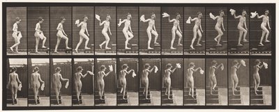 Placa 96. Subiendo Escaleras Mirando Alrededor; Agitando un Pañuelo de Eadweard Muybridge