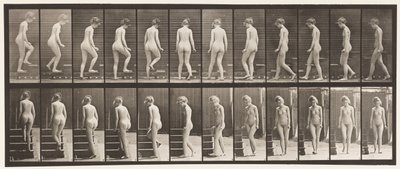 Placa 98. Girando y subiendo escaleras de Eadweard Muybridge