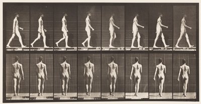 Placa 9. Caminando, 1872-1885 de Eadweard Muybridge