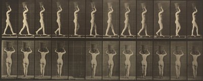 Placa número 34. Caminando y llevando una cesta de 15 libras sobre la cabeza, con las manos levantadas,1887 (foto). de Eadweard Muybridge
