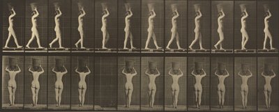 Placa número 34. Caminando y llevando una cesta de 15 libras en la cabeza, manos levantadas de Eadweard Muybridge
