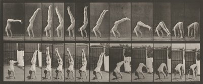 Placa número 371. Acrobat, vertical "press up",1887 (foto) de Eadweard Muybridge
