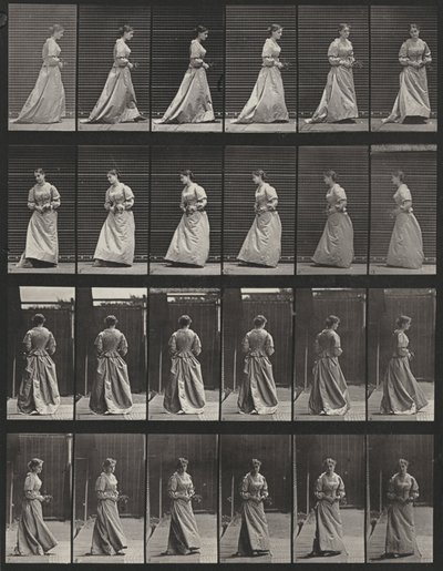 Lámina número 48. Caminar y darse la vuelta con un ramo en ambas manos de Eadweard Muybridge