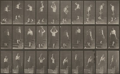 Placa número 504. Escaleras ascendentes y descendentes de Eadweard Muybridge