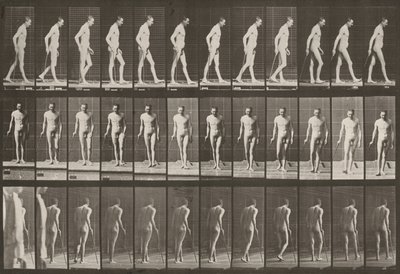Lámina número 559. Paraplejia parcial, caminar con bastón de Eadweard Muybridge