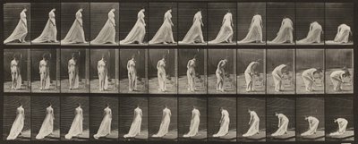 Lámina n.º 56. Caminar, girar y agacharse para levantar la cola del vestido de Eadweard Muybridge