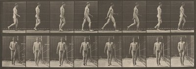 Placa número 5. Caminando,1887 (foto) de Eadweard Muybridge