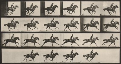 Lámina número 625. «Bouquet» al galope de Eadweard Muybridge