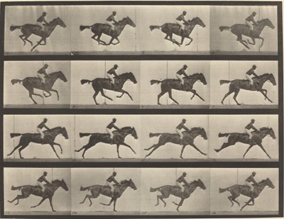 Placa número 626. Galope, yegua baya pura sangre, Annie G. de Eadweard Muybridge