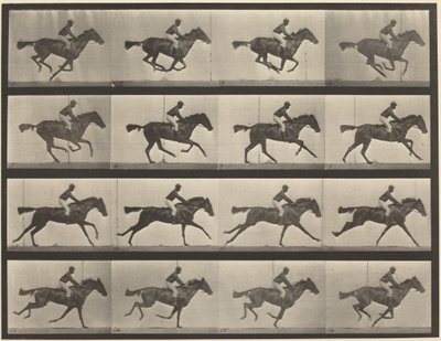 Lámina número 626. Galope, yegua baya de pura sangre, Annie G. de Eadweard Muybridge