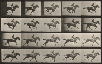 Lámina número 627. «Annie G.» al galope de Eadweard Muybridge