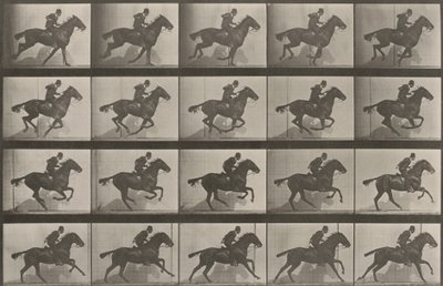 Lámina número 628. «Daisy» al galope de Eadweard Muybridge