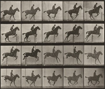 Lámina número 639. «Daisy» saltando una valla, ensillada de Eadweard Muybridge