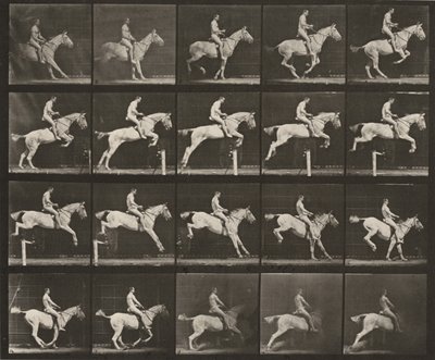 Lámina número 642. «Pandora» saltando una valla, ensillada; jinete desnudo de Eadweard Muybridge