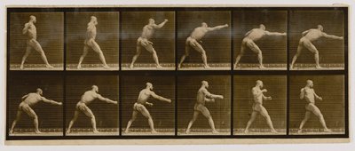 Pugilist Striking a Blow, del libro Animal Locomotion de Eadweard Muybridge