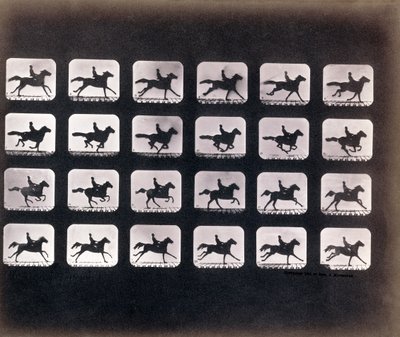 Corriendo (Galopando) por Eadweard J. Muybridge de Eadweard Muybridge